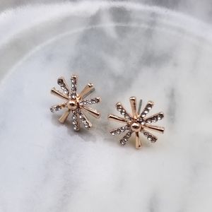 Northern Star Stud Earrings